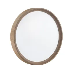 Настенно-потолочный светильник Sonex Pale Woodi 7603/ELN