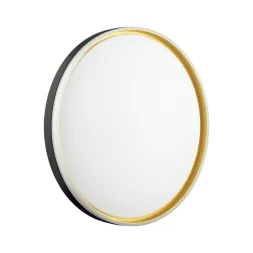 Настенно-потолочный светильник Sonex Pale Savi 7619/ELN