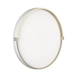 Настенно-потолочный светильник Sonex Pale Olidi White 7646/DLN