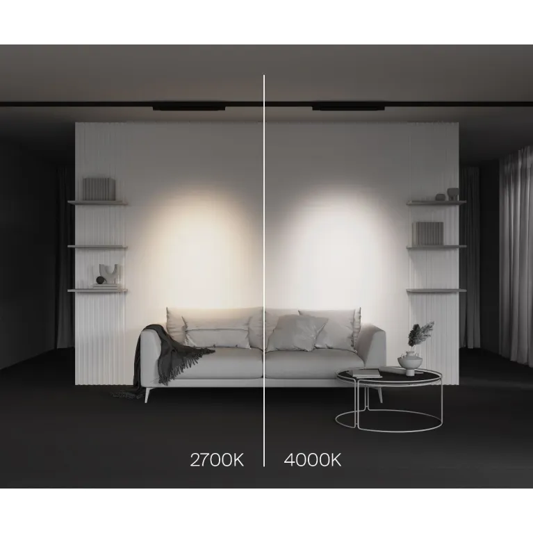Трековый трехфазный светильник Maytoni Points TR195-3-20W2.7K-M-B
