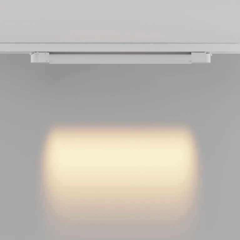 Трековый трехфазный светильник Maytoni Points TR195-3-20W2.7K-M-W