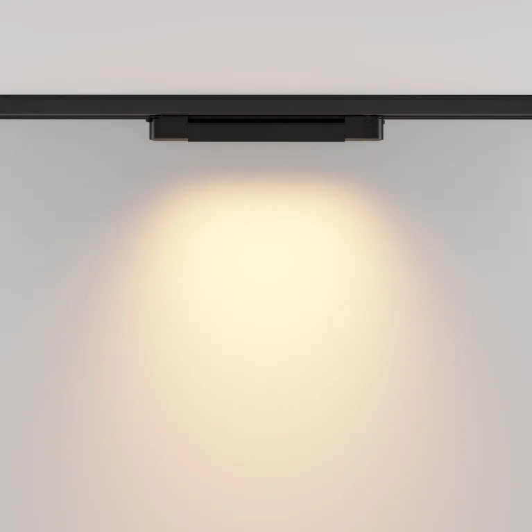 Трековый трехфазный светильник Maytoni Basis TR196-3-10W2.7K-B