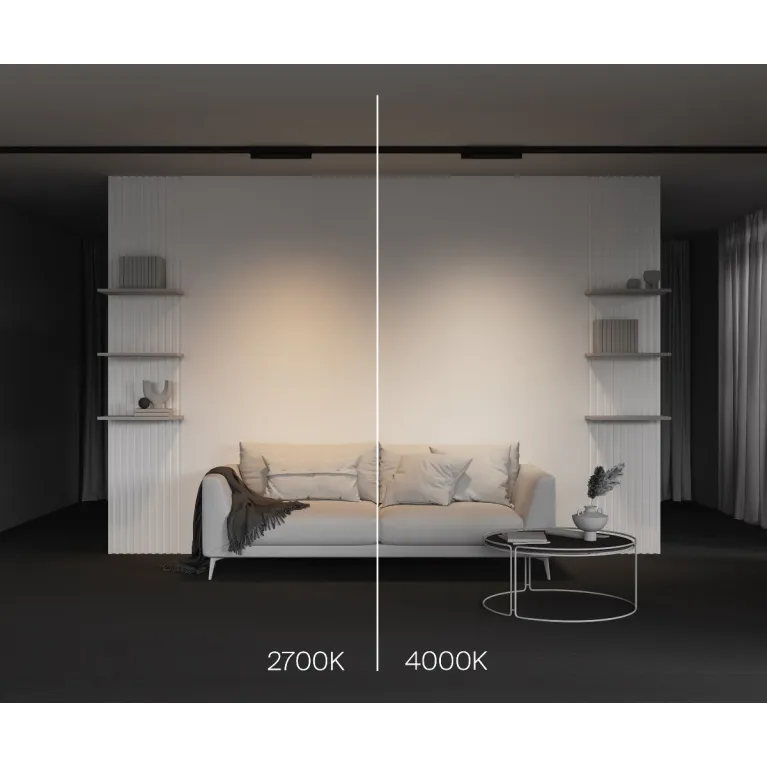 Трековый трехфазный светильник Maytoni Basis TR196-3-10W2.7K-B