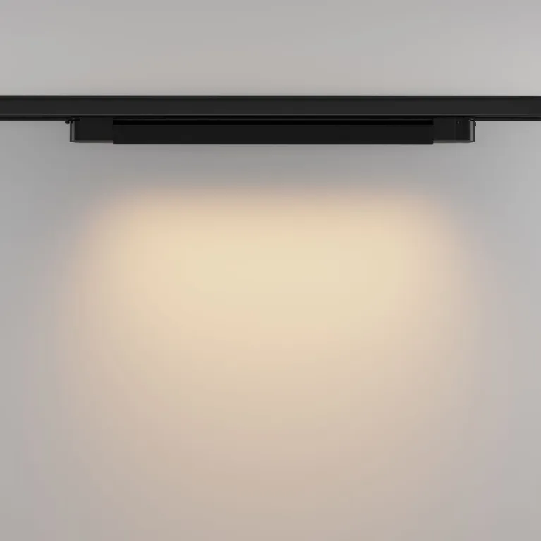 Трековый трехфазный светильник Maytoni Basis TR196-3-20W2.7K-B