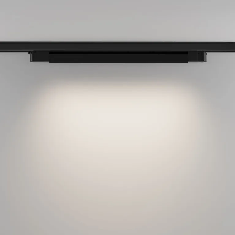 Трековый трехфазный светильник Maytoni Basis TR196-3-20W4K-B