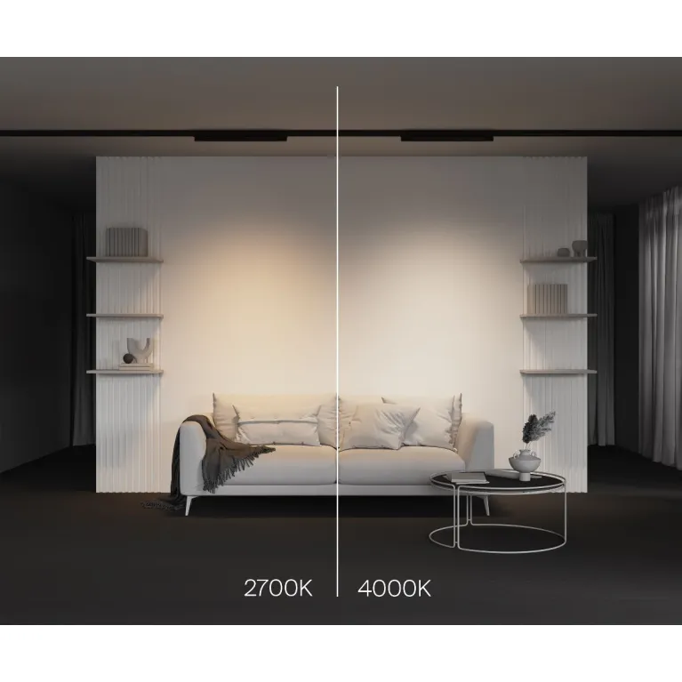 Трековый трехфазный светильник Maytoni Basis TR196-3-20W4K-B