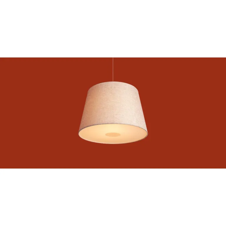 Подвесной светильник Freya Butler FR2057PL-01BG