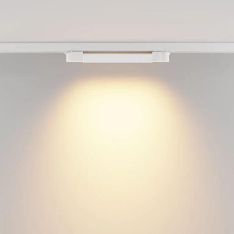 Трековый трехфазный светильник Maytoni Basis TR196-3-10W2.7K-W