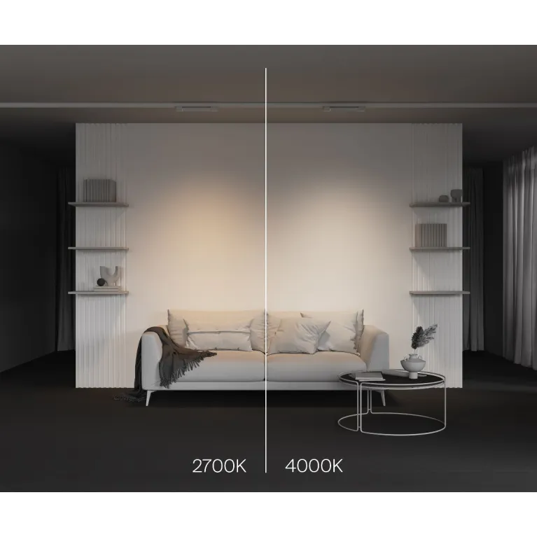 Трековый трехфазный светильник Maytoni Basis TR196-3-10W2.7K-W