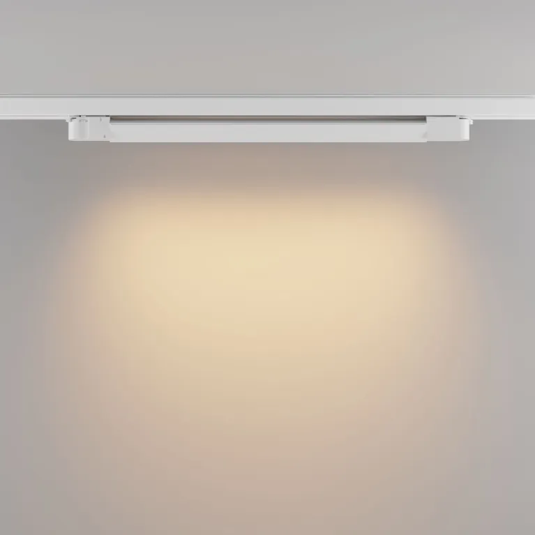 Трековый трехфазный светильник Maytoni Basis TR196-3-20W2.7K-W