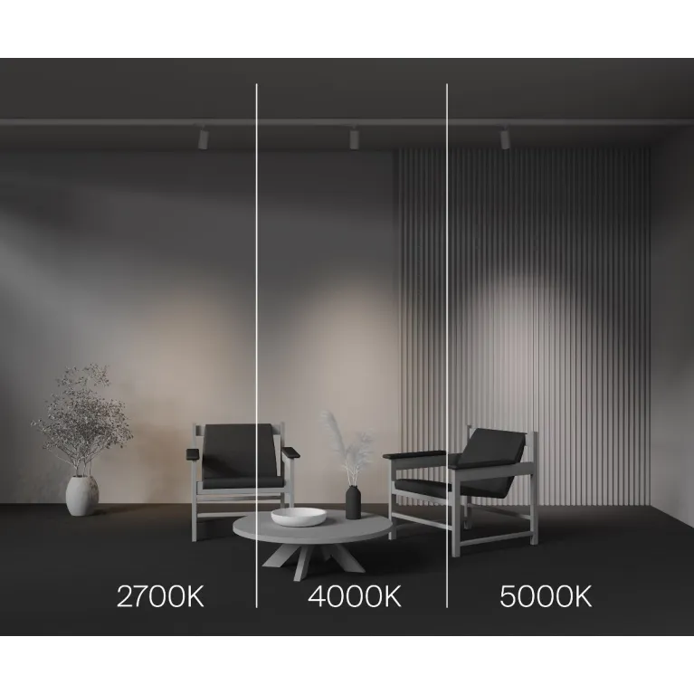 Трековый трехфазный светильник Maytoni Focus Led TR197-3-12WCCT-M-W