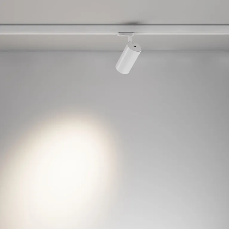 Трековый трехфазный светильник Maytoni Focus Led TR197-3-20WCCT-M-W