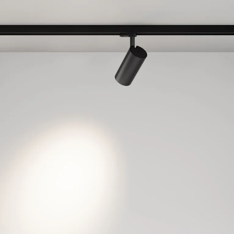 Трековый трехфазный светильник Maytoni Focus Led TR197-3-30WCCT-M-B