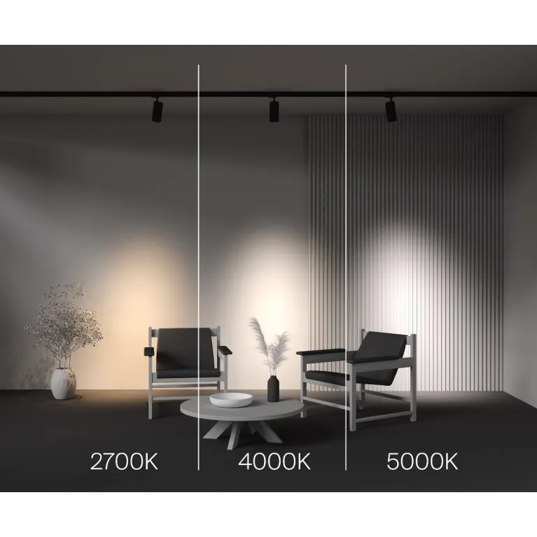Трековый трехфазный светильник Maytoni Focus Led TR197-3-30WCCT-M-B