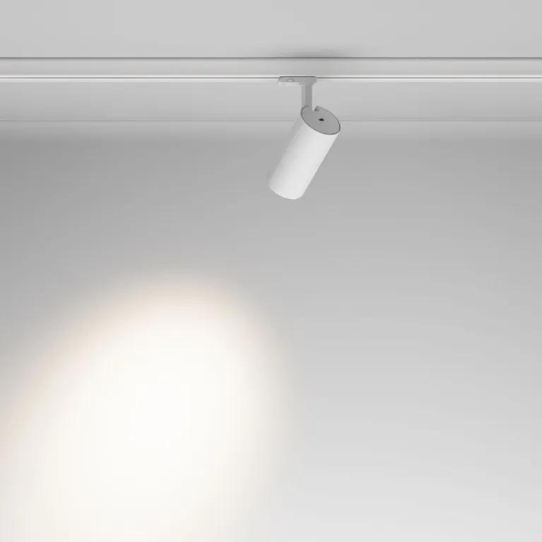 Трековый трехфазный светильник Maytoni Focus Led TR197-3-30WCCT-M-W