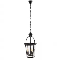 Подвесная люстра Loft IT Loft3563