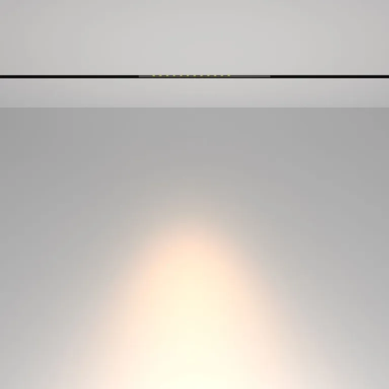 Трековый магнитный светильник Maytoni Technical Points TR232-2-10W3K-B