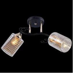 Потолочный светильник Reluce 01255-0.3-02 BK+FGD