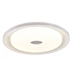 Потолочный светодиодный светильник F-Promo Dafna 2463-6C