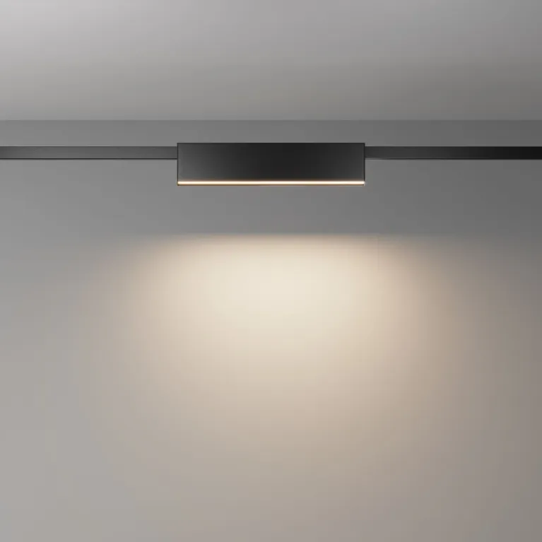 Трековый магнитный светильник Maytoni Basis TR151-1-18W3K-B