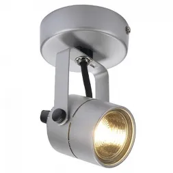 Спот SLV Spot 79 132024