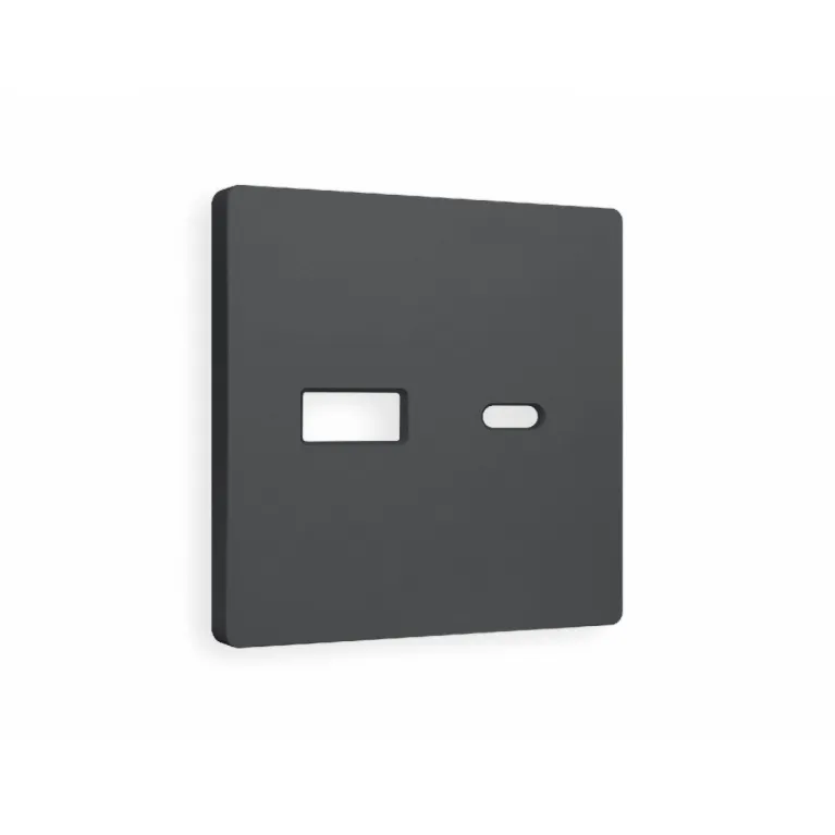 Лицевая панель для розетки 2USB тип A+C Ambrella Volt Alfa AP9110