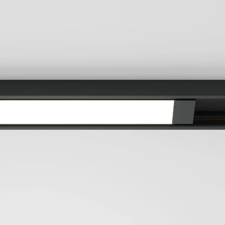 Трековый магнитный светильник Maytoni Basis TR173-1-16WTW-B
