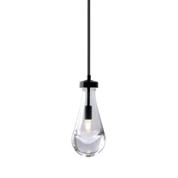 Подвесной светильник DeLight Collection Raindrop MT9093-1H black brushed gold