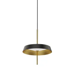 Подвесной светильник DeLight Collection MD18001061-1A  black/gold