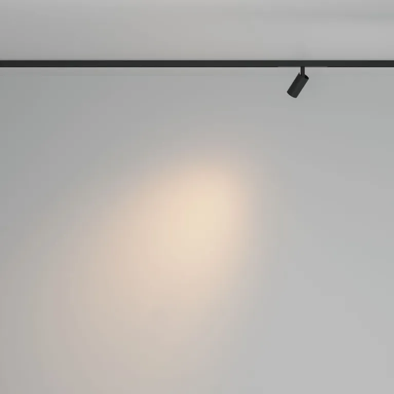 Трековый магнитный светильник Maytoni Focus Led TR176-1-3WTW-M-B