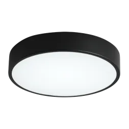 Потолочный светильник Zortes Tortty ZRS.02563.36