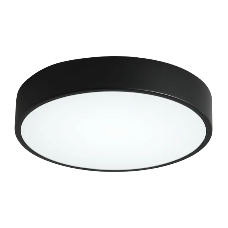 Потолочный светильник Zortes Tortty ZRS.02563.36