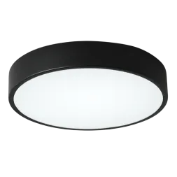 Потолочный светильник Zortes Tortty ZRS.02563.48