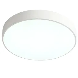 Потолочный светильник Zortes Tortty ZRS.02564.36