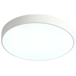 Потолочный светильник Zortes Tortty ZRS.02564.72