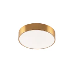 Потолочный светильник Zortes Tortty ZRS.02566.36