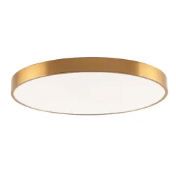 Потолочный светильник Zortes Tortty ZRS.02566.96