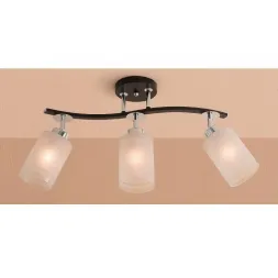 Спот Citilux Фортуна CL156131