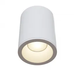 Потолочный светильник Maytoni Antares C029CL-01W