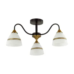 Потолочная люстра Lumion Nettie 5214/3C