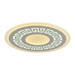 Потолочный светодиодный светильник F-Promo Ledolution 2273-8C