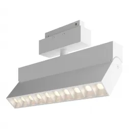 Трековый светодиодный светильник Maytoni Technical Points TR015-2-20W4K-W