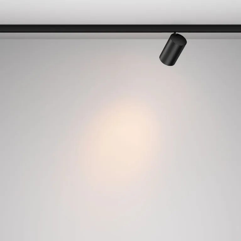 Трековый магнитный светильник Maytoni Focus Led TR187-1-9W2.7K-M-B