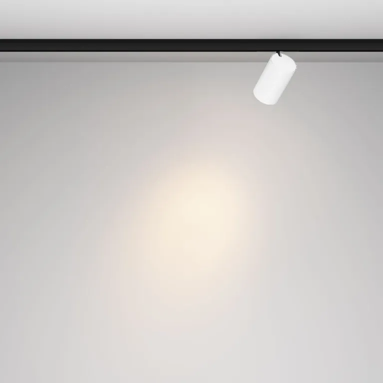 Трековый магнитный светильник Maytoni Focus Led TR187-1-9W3K-M-BW