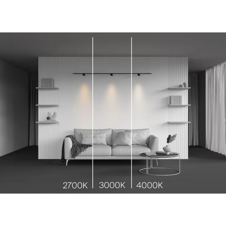 Трековый магнитный светильник Maytoni Alfa S TR188-1-5W2.7K-M-B