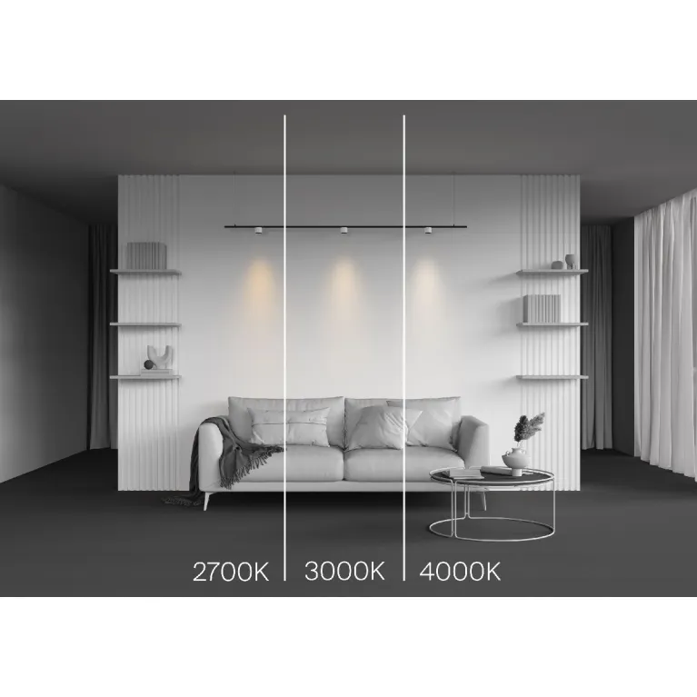 Трековый магнитный светильник Maytoni Alfa S TR188-1-5W4K-M-BW