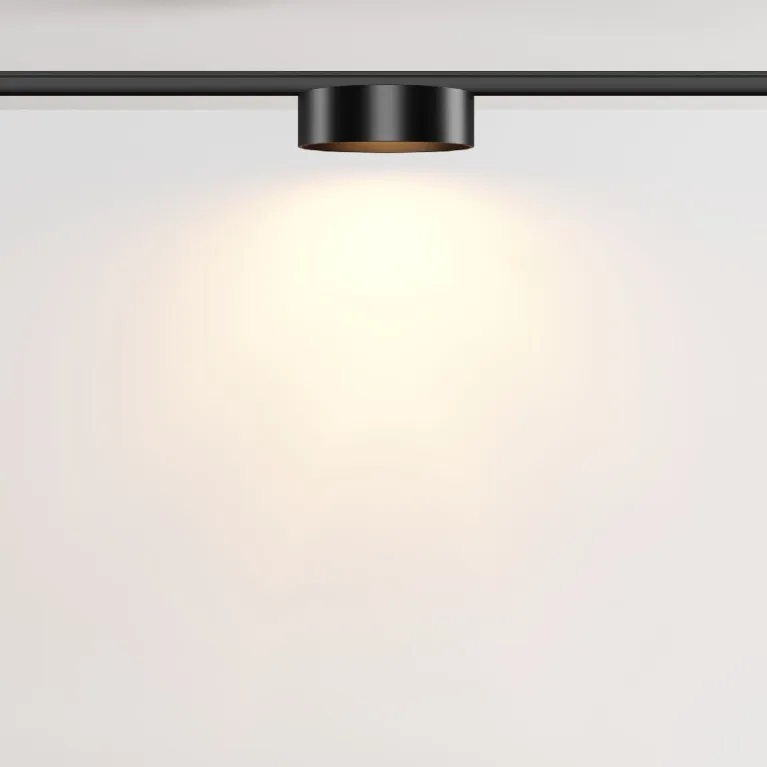 Трековый магнитный светильник Maytoni Zon TR189-1-12W2.7K-B
