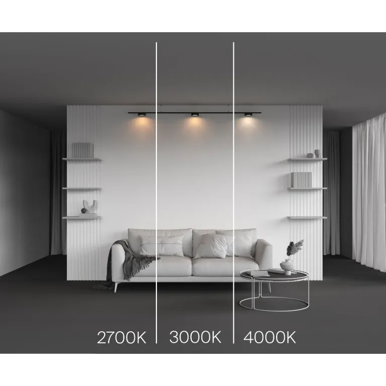 Трековый магнитный светильник Maytoni Zon TR189-1-12W4K-B