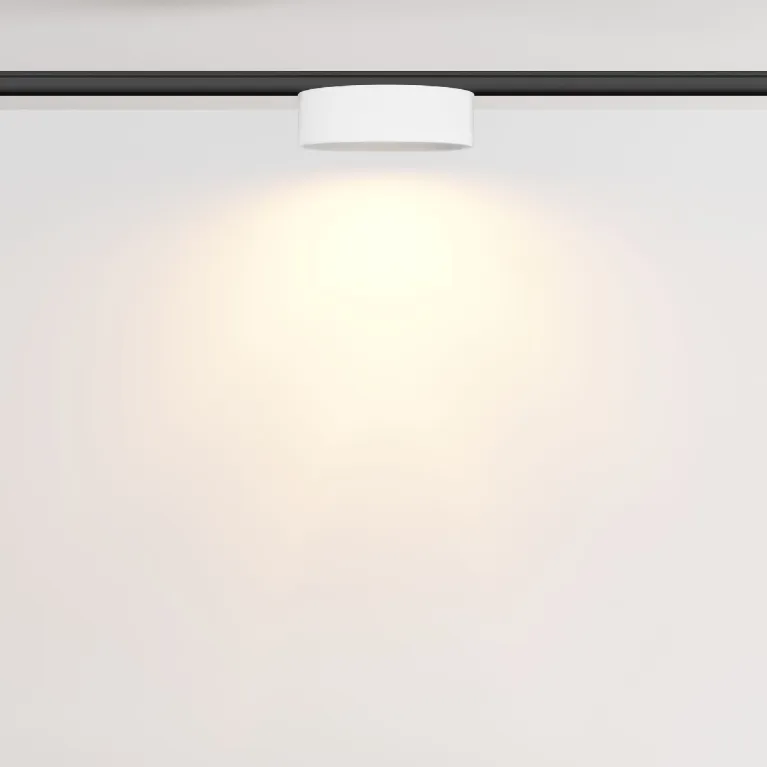Трековый магнитный светильник Maytoni Zon TR189-1-12W2.7K-BW