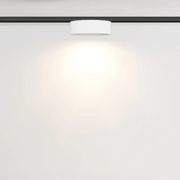 Трековый магнитный светильник Maytoni Zon TR189-1-12W3K-BW